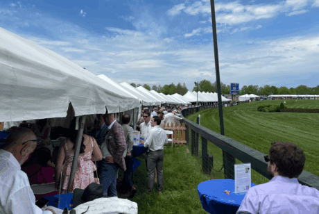 Outdoor gathering with white tents and people socializing on a sunny day.